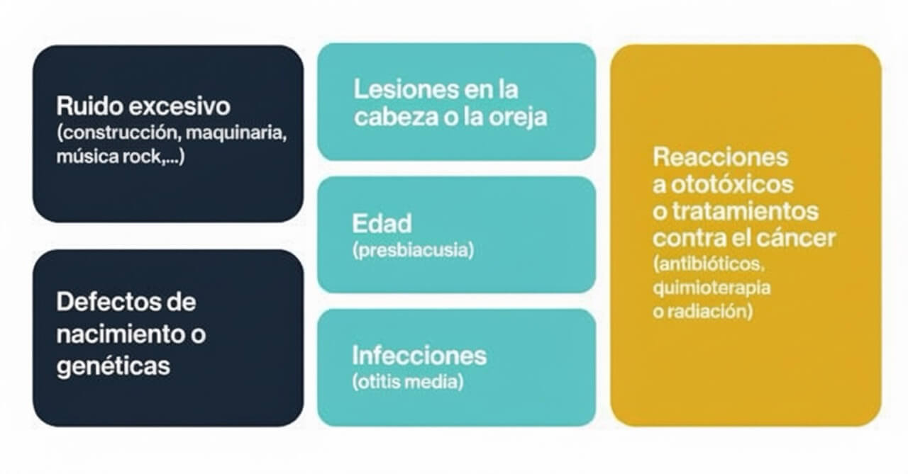 causas de perdida auditiva audicion