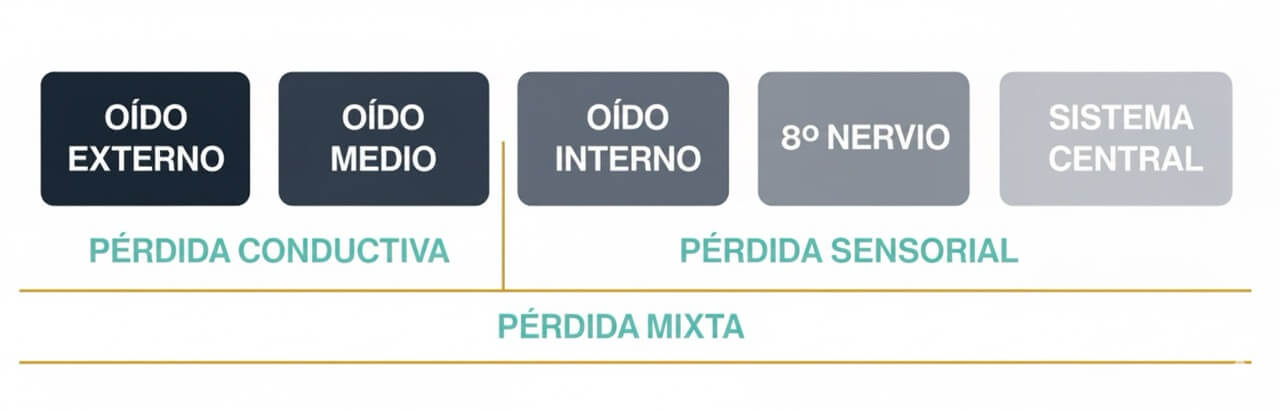 tipos de perdida auditiva